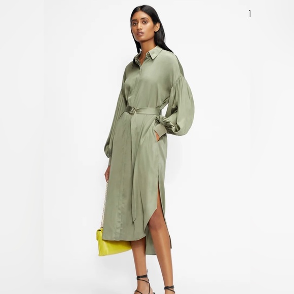 Ted Baker London shirt dress (orig. $395) - Picture 3 of 11